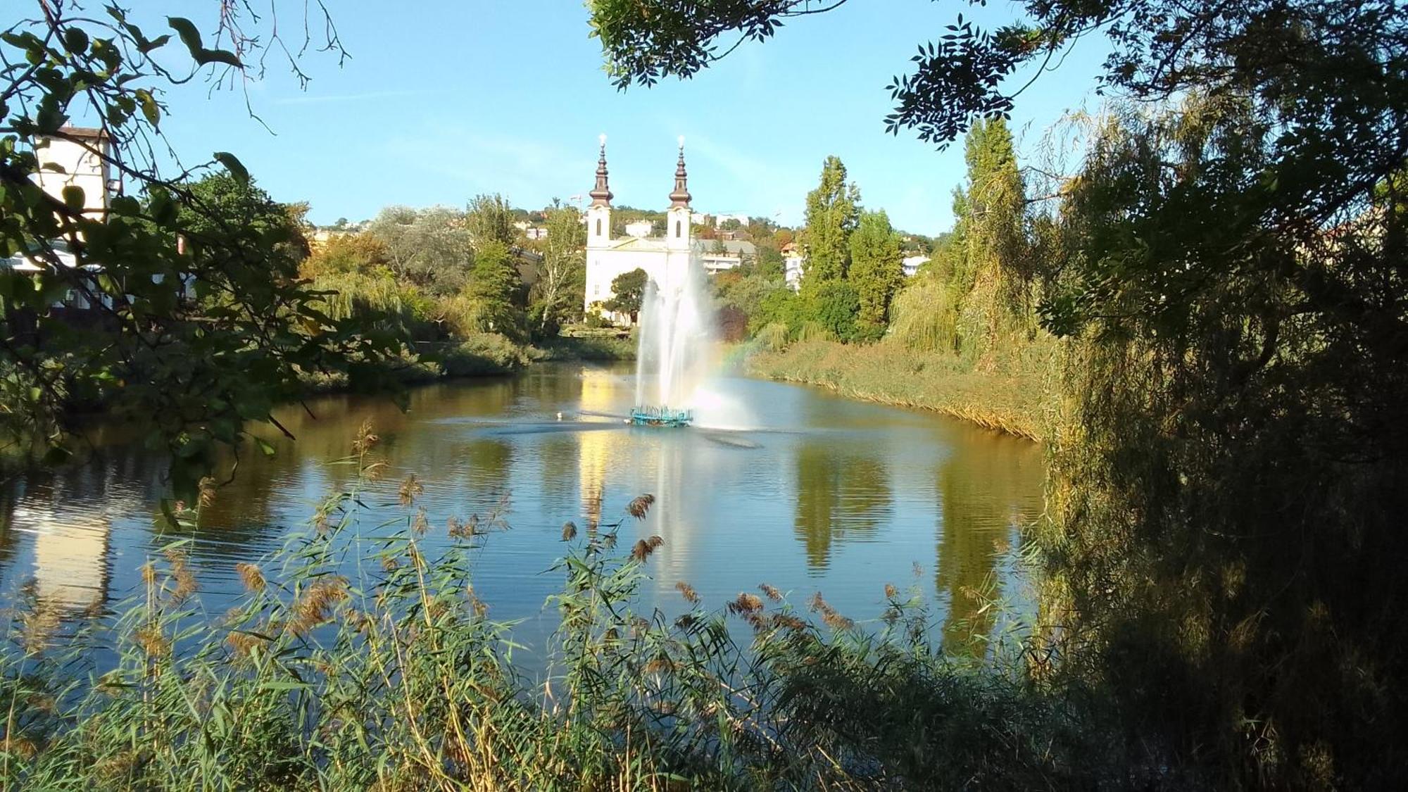 Modern Parkside Garden View Apartment Budapeşte Dış mekan fotoğraf